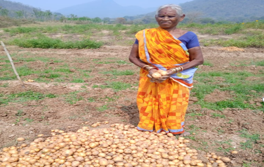 From Struggles to Success: The Inspiring Journey of Amaravati Toika