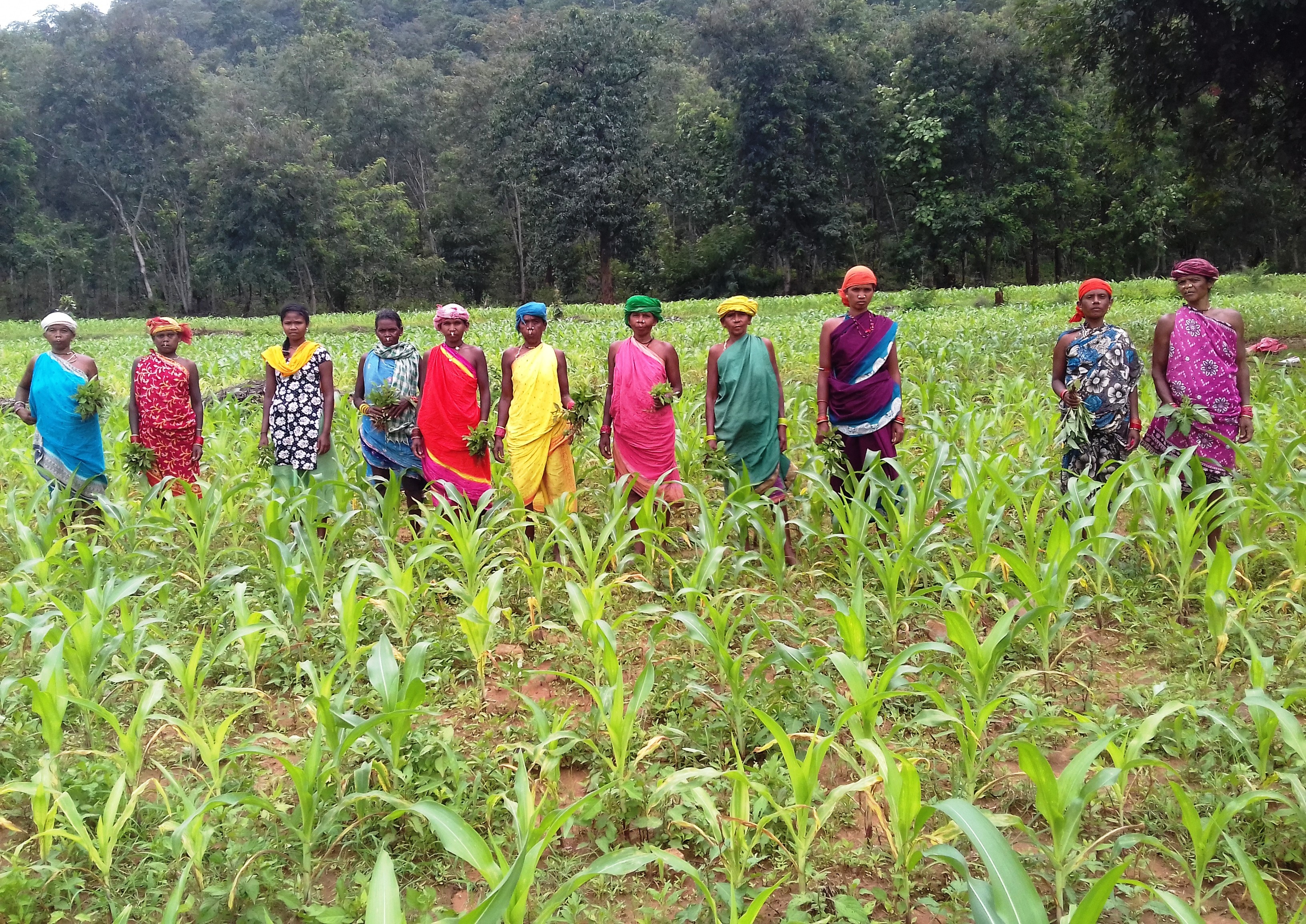 BUILDING SUSTAINABLE RURAL LIVELIHOODS
