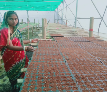Micro Agri-Enterprise Empowers Malati Mohanta