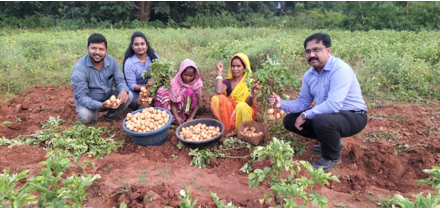 Monsoon Potato brings Livelihood Transformation in Kashipur Block